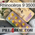 Rhinocéros 9 3500 new06